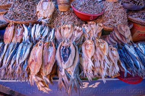 dry fish sold at the market, dry fish, fish market, sulawesi, tana toraja
