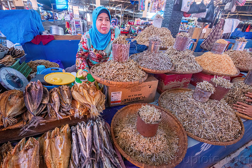 dry fish stand at the market, dry fish, fish market, tana toraja, woman