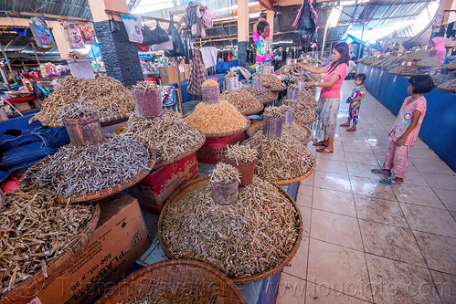 dry fish stand at the market, dry fish, fish market, tana toraja, woman