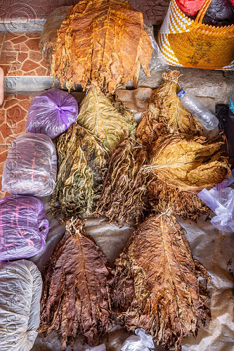 dry tobacco leaves, bolu market, dried tobacco leaves, pasar bolu, rantepao, tana toraja