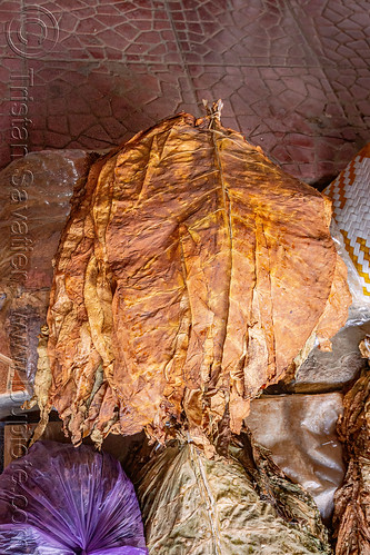 dry tobacco leaves, bolu market, dried tobacco leaves, pasar bolu, rantepao, tana toraja