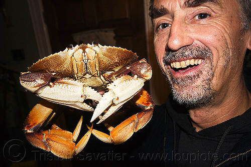 dungeness crab and me - tristan savatier, dungeness crab, food, man, metacarcinus magister, seafood, self portrait, selfie