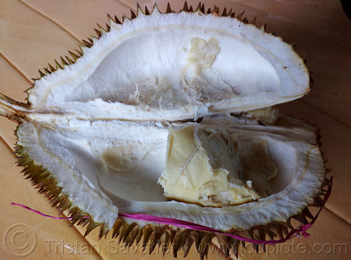 durian stinky fruit opened, durian, food, fruit, tana toraja