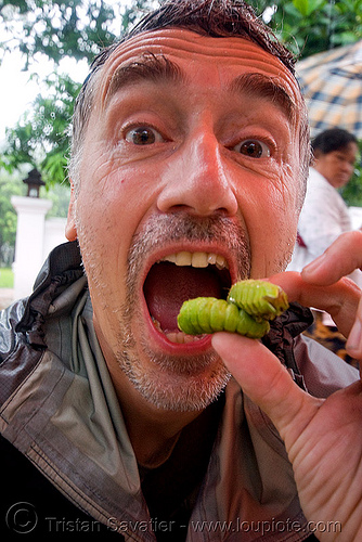 eating live bugs, alive, edible bugs, edible insects, entomophagy, food, larva, larvae, live, luang prabang, man, self portrait, selfie, worms