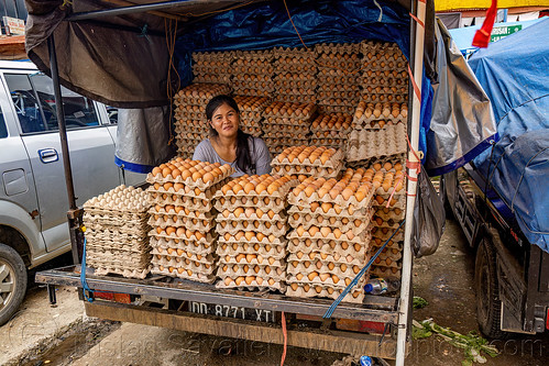 egg shop in truck, bolu market, eggs, merchant, pasar bolu, rantepao, tana toraja, vendor, woman