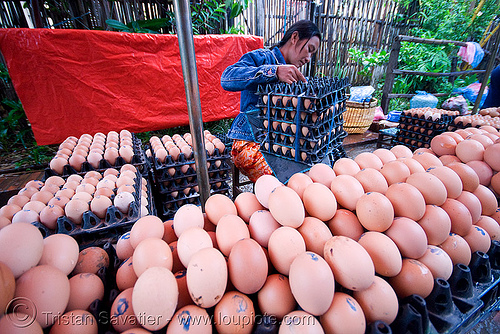 eggs on the market - luang prabang (laos), eggs, luang prabang