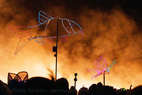 el-wire art - fish - butterfly, burning man at night, butterfly, el-wire, fire, fish, smoke