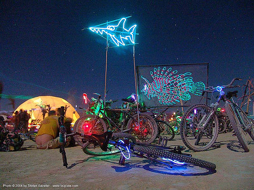 EL-wire art - glowing fishes - burning man 2004, burning man, el-wire, electroluminescent wire, fishes, glowing, night