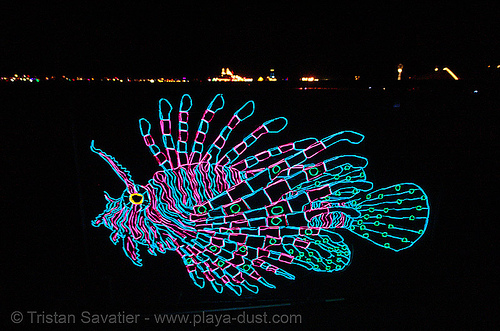 el-wire fish - burning man 2006, burning man at night, el-wire, electroluminescent wire, fish, glowing