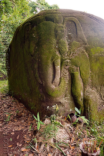 elephant rock - low relief - wat phu champasak (laos), elephant rock, elephant sculpture, khmer temple, low relief, wat phu champasak