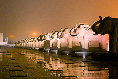 elephant row - ambedkar park - lucknow (india), ambedkar memorial, ambedkar park, architecture, elephant sculptures, elephant statues, elephants, lucknow, monument, night, pratibimb sthal, stone elephant