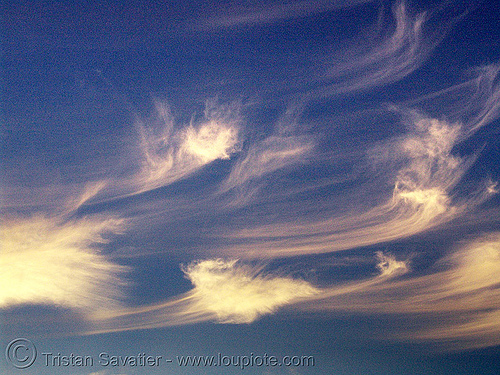 evening sky with cirrus clouds (san francisco), blue, cirrus clouds, high clouds, mares' tails
