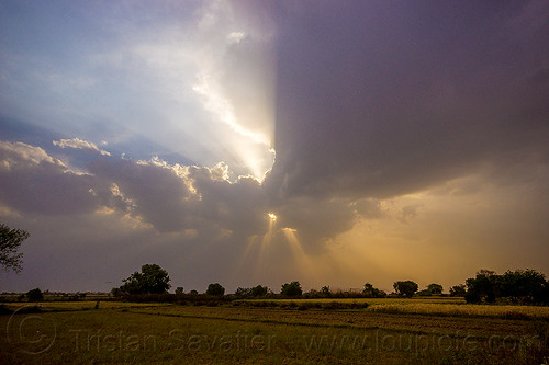 evening sky with crepuscular rays - clouds and sun rays over fields (india), cloudy, crepuscular rays, fields, sun rays through clouds
