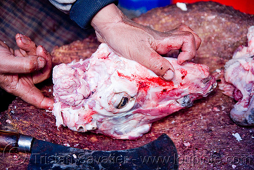 extracting brain from goat head, butcher knife, chevon, cleaver, goat brain, goat head, goat meat, halal meat, india, ladakh, leh, meat market, meat shop, mutton, raw meat, skull, लेह