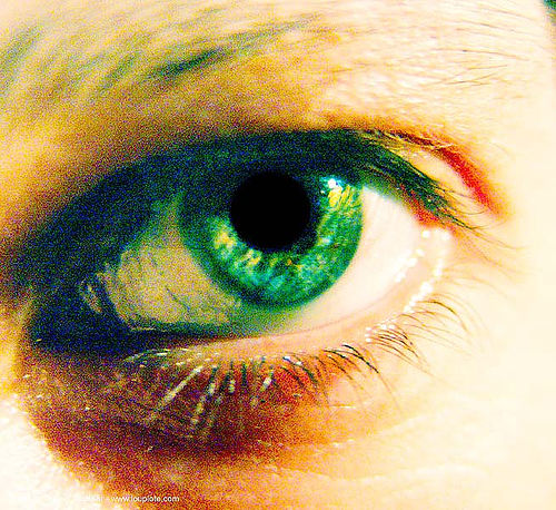 eye - anke-rega, cross-processed, left eye, woman