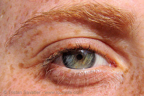 eye of redhead girl - close-up - freckles of skin, beautiful eyes, closeup, eye color, eyelashes, freckles, iris, red hair, redhead, woman