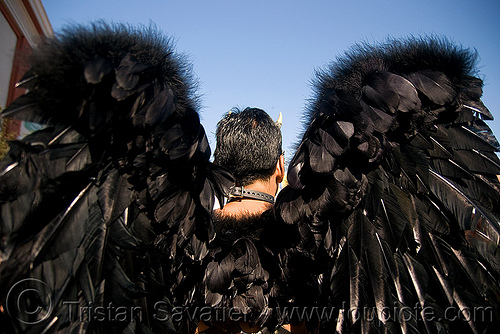 feather angel wings - black angel - folsom street fair 2008 (san francisco), angel wings, black feathers, costume, man