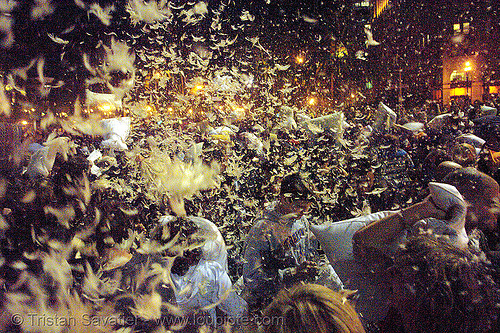 feathers flying at the great san francisco pillow fight 2007, crowd, down feathers, duvet, night, pillows, san francisco pillow fight, world pillow fight day