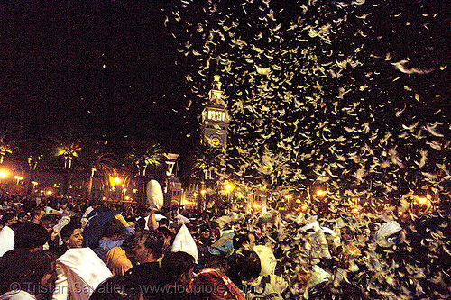 feathers flying - embarcadero clock-tower - the great san francisco pillow fight 2007, crowd, down feathers, duvet, night, pillows, san francisco pillow fight, world pillow fight day