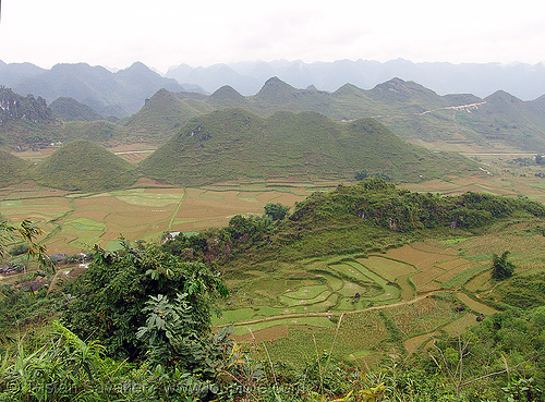 fields near tám sơn - vietnam, fields, landscape, tám sơn