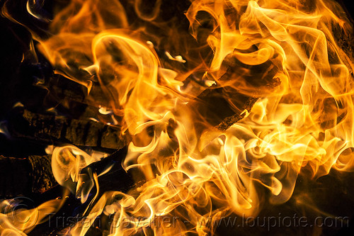 fire - flames - wood burning in fire pit, bonfire, burning, fire pit, night, patterns, wood fire
