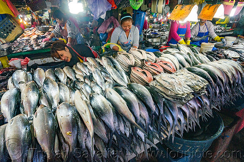 fish market - baguio (philippines), baguio, fish market, fishes, merchant, philippines, stall, vendor, woman