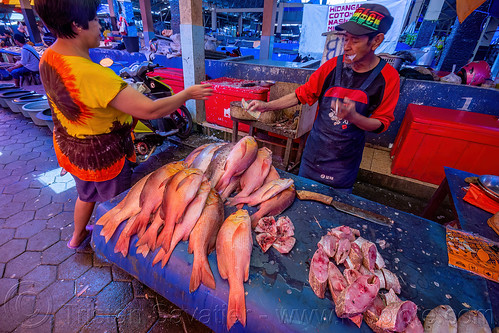 fish stand at the market, fish market, man, sulawesi, tana toraja