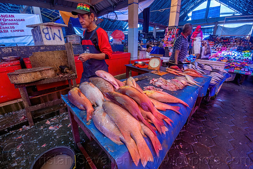 fish stand at the market, fish market, tana toraja, woman