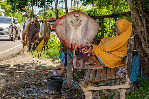 fish stand with hanging sting rays, fish market, hanging, merchant, road, sitting, sting rays, street seller, sulawesi, vendor, woman
