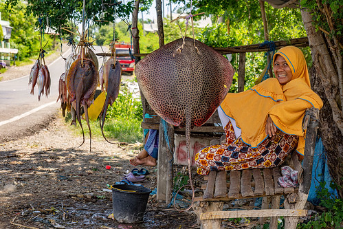fish stand with hanging sting rays - reticulate whipray, fish market, hanging, himantura uarnak, honeycomb stingray, merchant, reticulate whipray, road, sitting, sting rays, street seller, vendor, woman