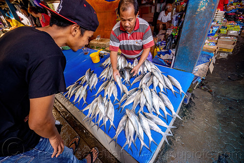 fish store at rantepao market, bolu market, fish market, pasar bolu, rantepao, tana toraja, woman