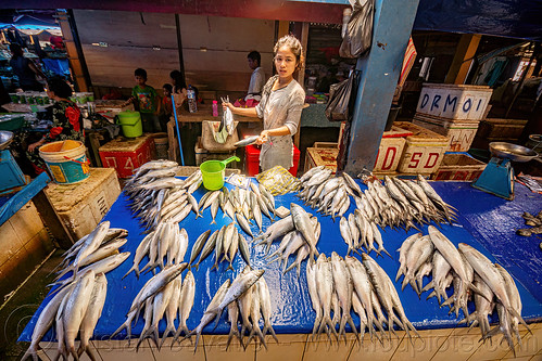 fish store at rantepao market, bolu market, fish market, pasar bolu, rantepao, tana toraja, woman