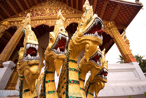 five-headed nāga snake - luang prabang (laos), buddhism, five headed, luang prabang, naga snake, nāga dragon, nāga snake, sculpture