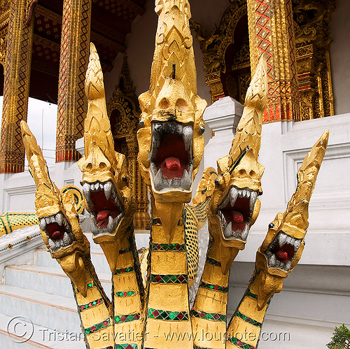 five-headed snake (nāga) - temple - luang prabang (laos), buddhism, five headed, heads, luang prabang, naga snake, nāga dragon, nāga snake, sculpture