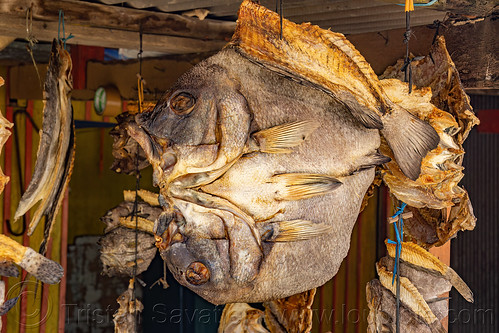 flattened dry fish hanging, dry fish, fish market, hanging, shop, stand, store