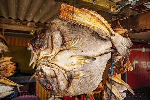 flattened dry fish hanging, dry fish, fish market, hanging, shop, stand, store