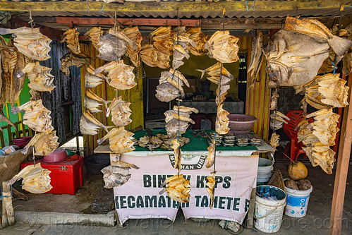 flattened dry fishes hanging, dry fish, fish market, hanging, shop, stand, store, sulawesi