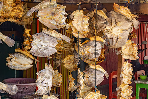 flattened dry fishes hanging, dry fish, fish market, hanging, shop, stand, store