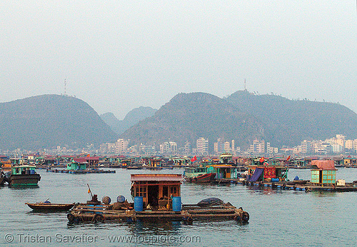 floating houses (cat ba island, vietnam), boat, cat ba island, cát bà, floating homes, floating houses, floating village, halong bay, sea