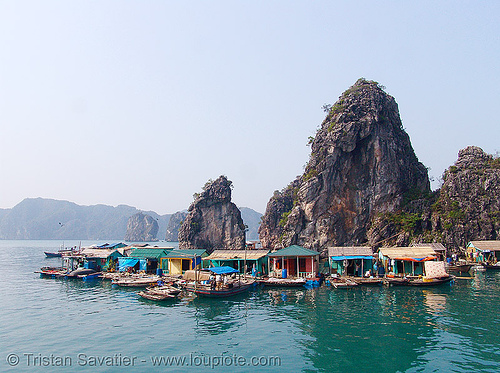 floating village in halong bay, boats, cat ba island, cát bà, floating homes, floating houses, floating village, halong bay, sea