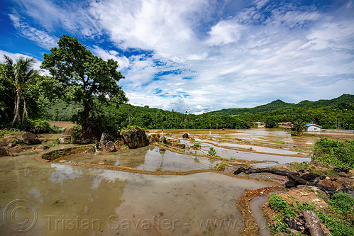 flooded rice paddy fields - terrace agriculture, agriculture, flooded paddies, flooded rice field, flooded rice paddy, landscape, rice fields, rice paddies, rice paddy fields, terrace farming, terrace fields, terraced fields