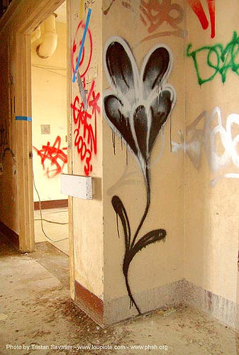 flower graffiti - public health service hospital (phsh), abandoned building, abandoned hospital, graffiti, lolo, presidio hospital, presidio landmark apartments, trespassing