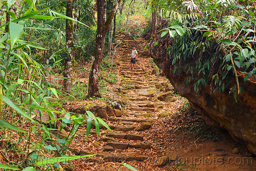 foot path with stone steps in the east khasi hills (india), east khasi hills, jungle, man, mawlynnong, meghalaya, rain forest, stairs, steps, trail