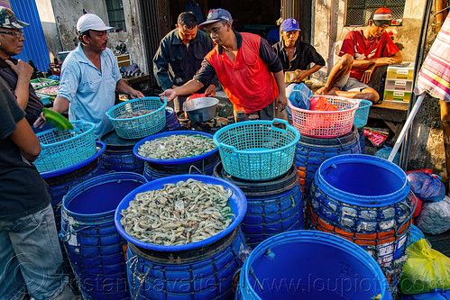 fresh shrimps in buckets - shrimp stand at fish market, fish market, man, pasar pabean, seafood, shrimps, surabaya