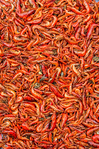 freshwater prawns (india), freshwater prawns, freshwater shrimps, gairkata, river prawns, river shrimps, street market, west bengal