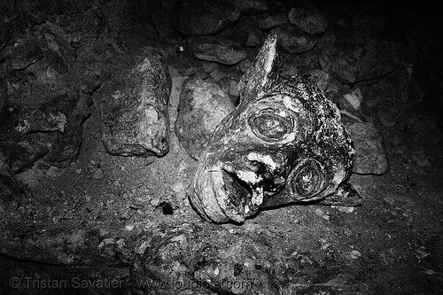 gargoyle - catacombes de paris - catacombs of paris (off-limit area), broken, cave, clandestines, gargoyle, head, illegal, trespassing, underground quarry