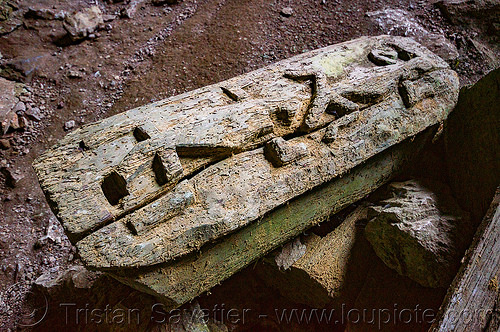 geckos carved on ancient coffin - lumiang cave - sagada (philippines), burial cave, burial site, cemetery, coffin, geckos, grave, lumiang cave, natural cave, sagada, tomb, wood carving