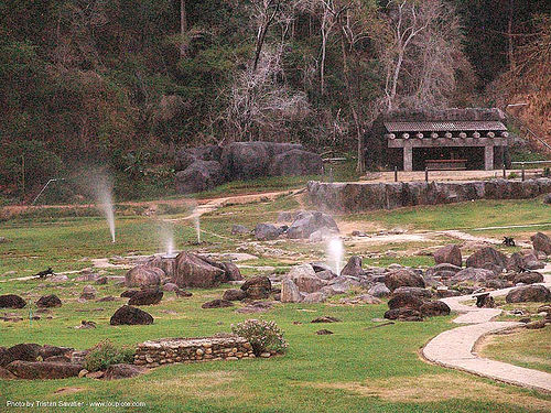 geysers - hot springs - doi pha hom pok national park - doi fang national park (thailand), doi fang national park, doi pha hom pok national park, geysers, hot springs