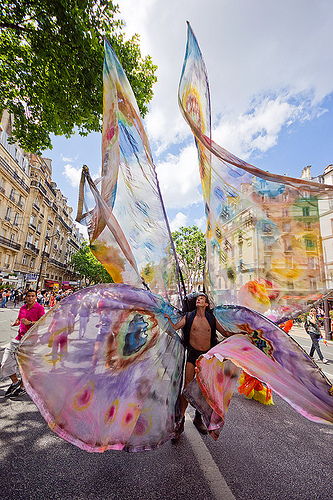 giant butterfly costume, butterfly costume, gay pride, man