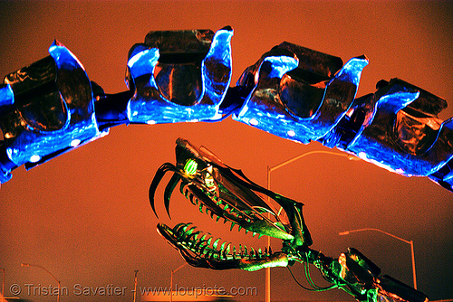 giant snake skeleton sculpture - head and vertebras - crucible fire arts festival 2007 (oakland, california) - serpent mother, burning, fire art, sculpture, serpent mother, skeleton, snake